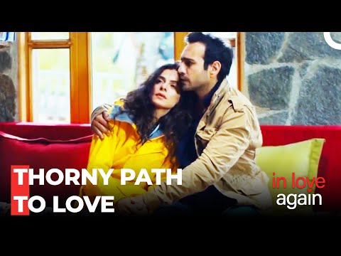 Heart Knows No Boundaries - In Love Again