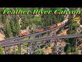 Breathtaking Feather River Canyon Train Chase 4K July 10 2024