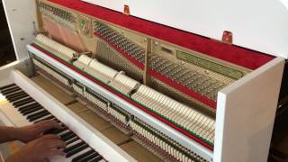 Video thumbnail for Piano Droit PETROF P118 M1 (1) ***EML PIANOS*** by Eml Pianos