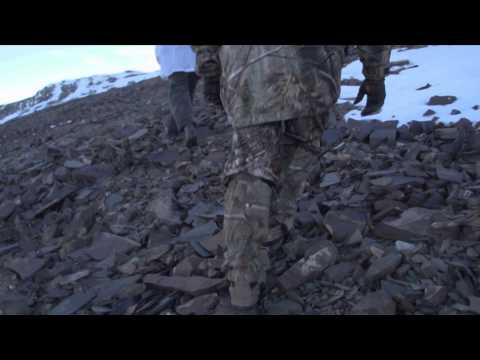 The Choice  - Marco Polo Sheep & Ibex Adventure