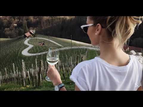 Mlade frajle  - Vem da boš odšel (V meni umirajo sanje)