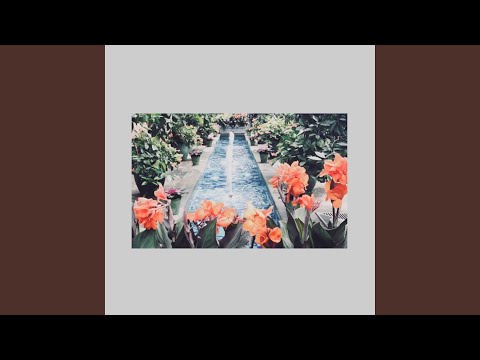 Video thumbnail for Lush
