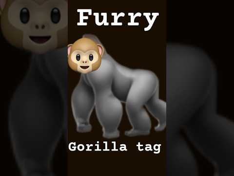 #gorillatag #zeeb #gtag #vr #furry