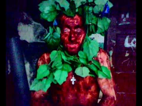 Demsi na karaibach 2