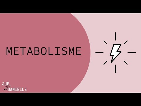 download lagu mp3 mp4 Metabole Dit, download lagu Metabole Dit gratis, unduh video klip Metabole Dit