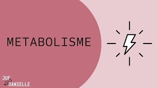 Stofwisseling: Basisprincipes