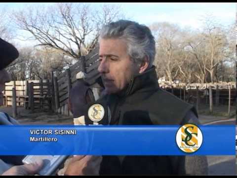 VICTOR SISINNI - Hourcade Albelo y Cía. S.C.C. - Rauch - 24-07-2013