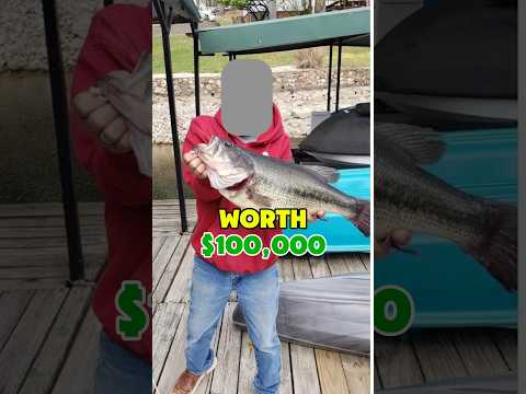 THEY ATE A $100,000 BASS?!?!? 😱😱😱 #fishing #outdoors #shorts