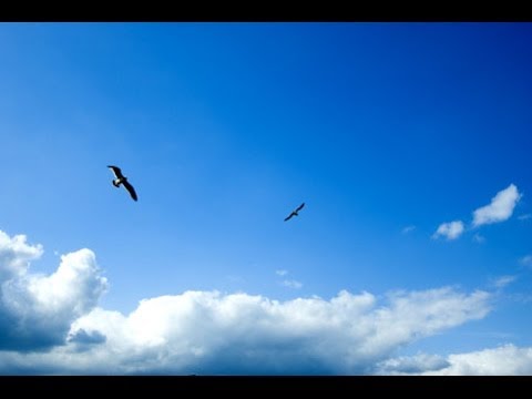 Shining Clouds   by XARA