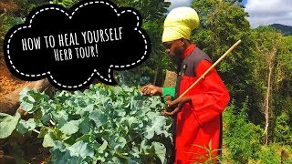 Learn To Heal Yourself! Ital Herb Tour with Priest Kailash l Vegan Electric foods