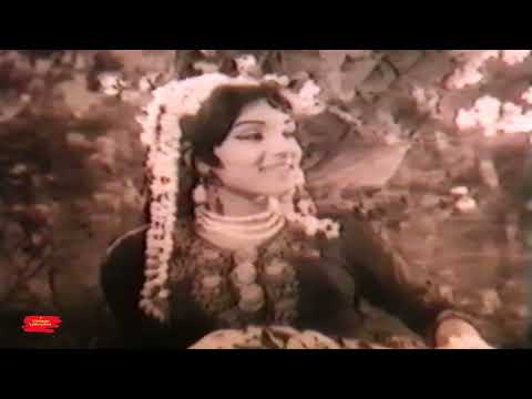 ADHI RAAT KA CHANDA CHAMKAY AB TO SAJNA JANAY DO - FILM IK SAPERA