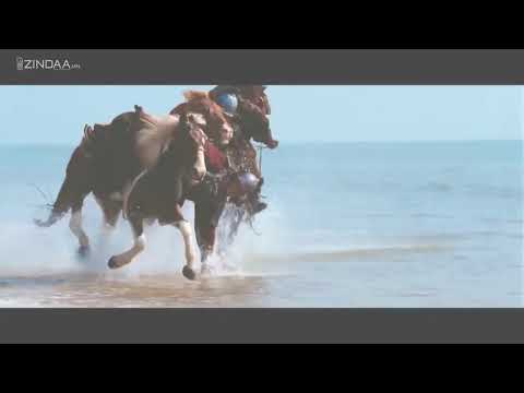 Р. Чойном - Танай Монгол жижигхэн үү?