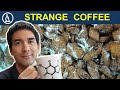 What's the white FLUFF on my coffee (not mold!)? Coffee under the microscope