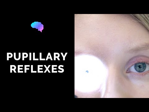Pupillary Reflexes - OSCE Guide (Clip) | UKMLA | CPSA