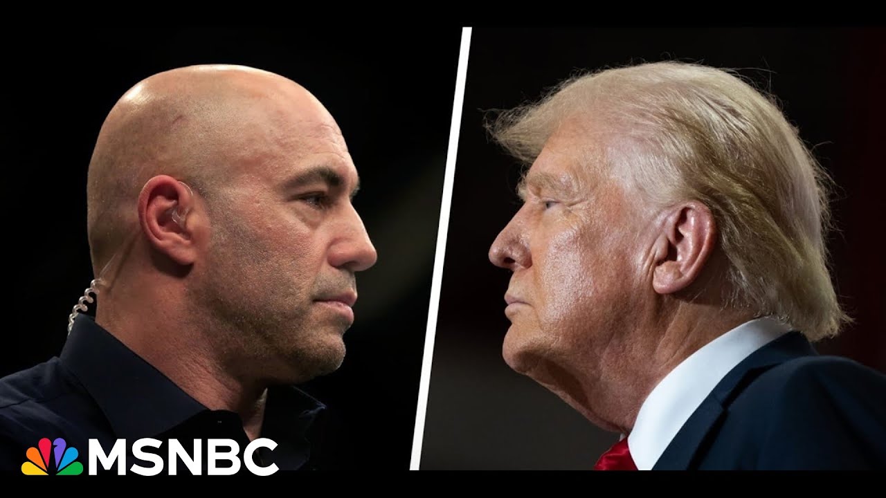 ‘They've lost Joe Rogan’: Backlash grows against unconstitutional acts by Trump administration