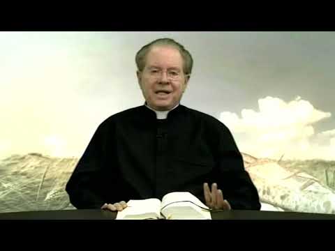 O Pão Nosso 21 Novembro 2017      -     Pe. F. C. Cardoso