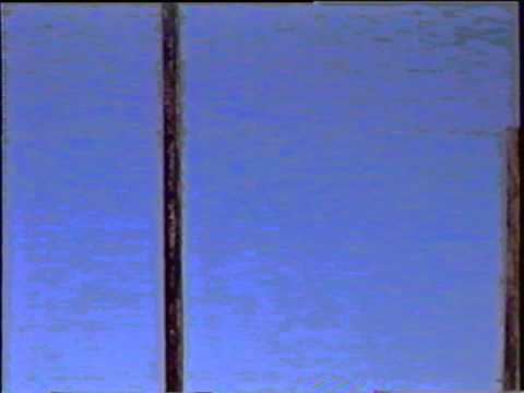 Warren Grove Bobmgin Range Activity - F-16 flyby