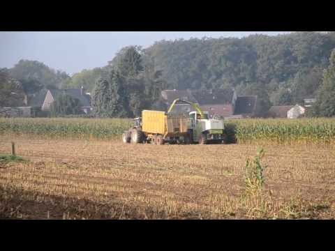 Loonbedrijf P. De Clercq - Mais hakselen met Claas Jaguar 860 en Valtra T191