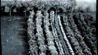 Waiting for the End - Griz (Chris Grunwald)