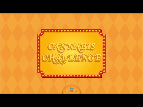 22.22 vs Nobita vs Mctower vs Pakyto - Crazy contest (Cannabis challenge)