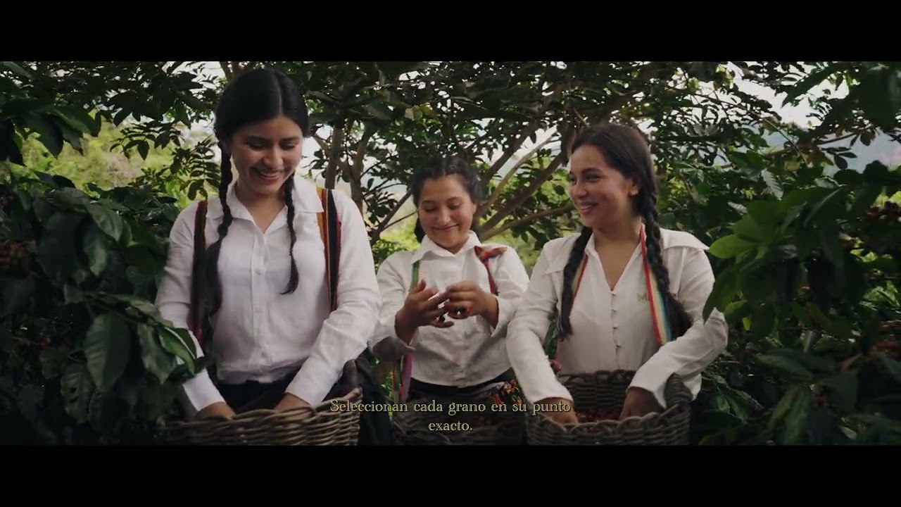 Video Portada