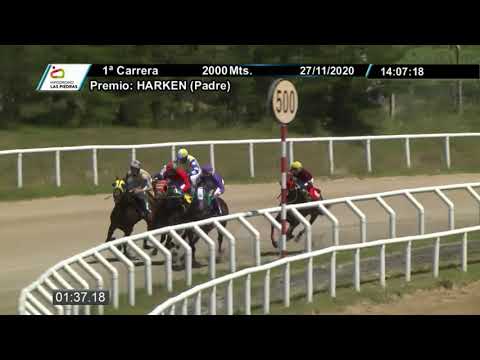 201127 c01 - MUNDANAL Essayons y Mutuca por Giant Gentleman - HIPODROMO LAS PIEDRAS