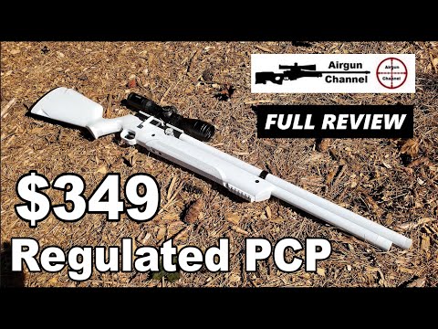 the Original AVENGER (Full Review) Can the AVENGE-X Compete? Air Venturi's Regulated PCP Rifle