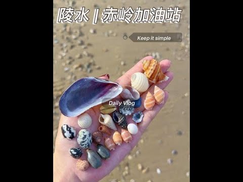 海南陵水赤岭加油站潮低未捡到海胆壳建议潮高0.3米后去#大海的馈赠 #海滩拾趣 #陵水攻略 #解压 #青年创作者成长计划