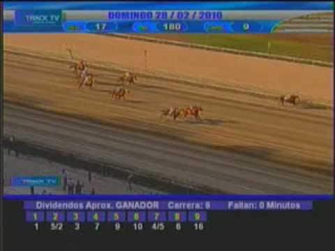 Resumen 28 de Febrero 2010 - La Rinconada