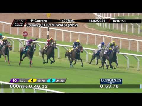 210214 c01 ANACHELLA