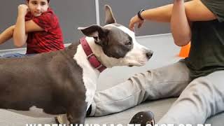 Kiara sporten op de Faam