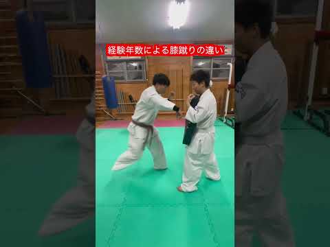 【空手】経験年数による膝蹴りの威力の違い！！#aikido ＃karate #martial #合気道 #武道 #空手