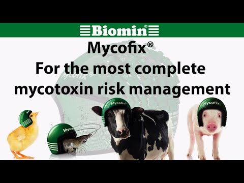 Powder biomin toxin binder for animal feed - mycofix secure,...