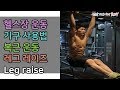 복근 운동, 레그 레이즈(Leg raise) ,복부 운동, 뱃살 빼기, 헬스장 초보, 헬스장기구사용법, 헬스장 운동기구 사용법[건디ROY]