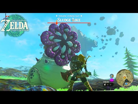 Sludge Like Boss Fight | The Legend of Zelda Tears of the Kingdom