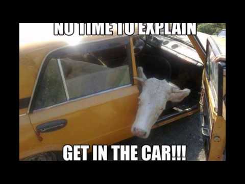 Markus Schulz feat. Mr.Pit -- Push The Button.wmv Crazy MUSIC VIDEO