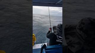 preview picture of video '20170318_ mancing (fishing trip) PASTEL trolling Strike @ Binuangan'