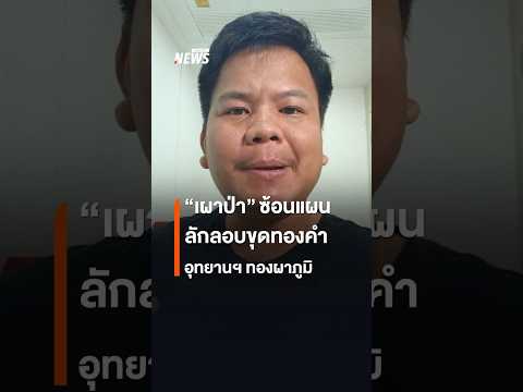 ภาพกลุ่มลักลอบขุด-ร่องทองคำ ใช้วิธีเผาป่า เบี่ยงเบนความสนใจ จนท. | Thai PBS News