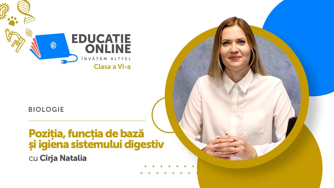 Biologie, Clasa a VI-a, Poziția, funcția de bază și igiena sistemului digestiv