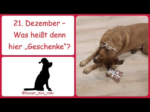 Rokis Adventskalender: 21. Dezember – Was heißt denn hier „Geschenke“?