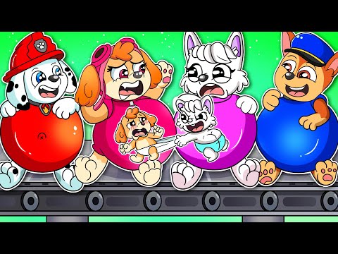 BREWING CUTE PREGNANT & CUTE BABY Paw Patrol | Funny Life Story |  Ultimate Rescue x Rainbow 3