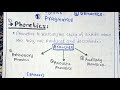 Phonetics Phonology Morphology Morphemes Syntax Pragmatics Semantics
