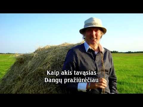 🎞️ Vytautas Šiškauskas - Žvaigždė [nauja versija] (su tekstu)