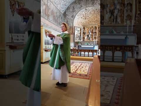 Sofia Hedman predikar 5 sönd efter trettondagen 2019