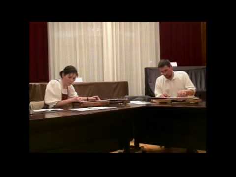 Zither Duo - 