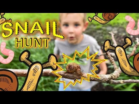 SNAIL HUNT for KIDS in the Backyard! Finding REAL BUGS, TURTLES, worms, a TOAD, beetles & SNAILS!!