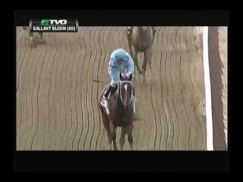 2013 Gallant Bloom Handicap - Cluster Of Stars