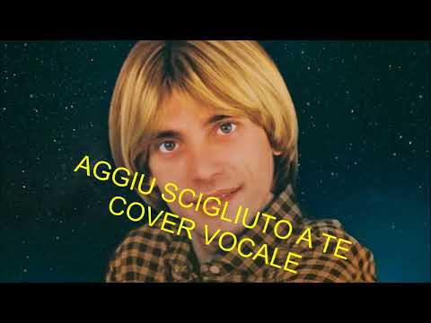 Nino D'Angelo - Aggiu scigliuto a te (cover vocale by Nico)