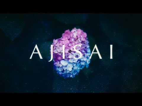 Nao'ymt - Ajisai