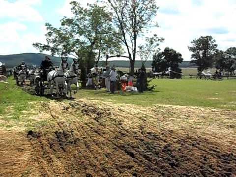 Concurs de atelaje Herghelia Beclean